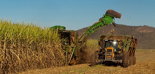 Produção de Cana-de-açúcar