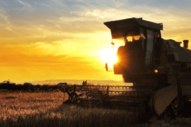 Agronegócio - desktop